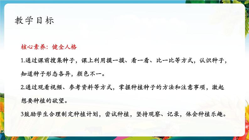 【大单元整体教学】4试种一粒籽（第一课时）课件第2页