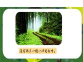 部編版小學(xué)道德與法治三年級下冊2.1《不一樣的你我他》第一課時課件+教案
