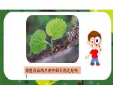 部編版小學(xué)道德與法治三年級下冊2.1《不一樣的你我他》第一課時課件+教案