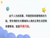 部編版小學(xué)道德與法治四年級上冊10.2《我們所了解的環(huán)境污染》第二課時(shí)課件+教案（含學(xué)情分析）