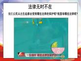 部編版小學道德與法治六年級上冊 1.2《感受生活中的法律》第二課時 課件+教案