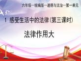 部編版小學道德與法治六年級上冊 1.3《感受生活中的法律》第三課時 課件+教案