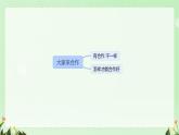 小學政治 (道德與法治)統(tǒng)編版（2024）一年級下冊2.8 大家來合作 課件