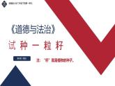 小學(xué)政治 (道德與法治)統(tǒng)編版（2024）二年級(jí)下冊(cè)1.4 試種一粒籽 課件