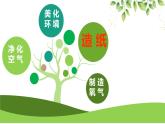 小學(xué)政治 (道德與法治)統(tǒng)編版（2024）二年級下冊3.11 我是一張紙 課件