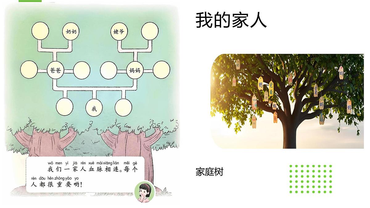 《第9课  这是我的家》课件第2页