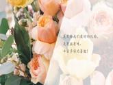 【新教材新課標】部編版二年級上冊道德與法治第1課《假期有收獲》第2課時（教學課件+教學設(shè)計）