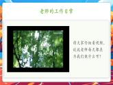 【新教材新課標(biāo)】部編版二年級(jí)上冊(cè)道德與法治第2課《教師節(jié)快樂》（教學(xué)課件+教學(xué)設(shè)計(jì)+分層作業(yè)含答案）
