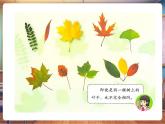 【新教材核心素養(yǎng)】統(tǒng)編版道德與法治三上第8課《同學(xué)相伴》第1課時(shí)《不一樣的你我他》教學(xué)課件+教案+視頻素材