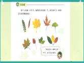 第8課 同學(xué)相伴 第1課時(shí)（課件）2025-2026學(xué)年道德與法治三年級(jí)上冊(cè)統(tǒng)編版
