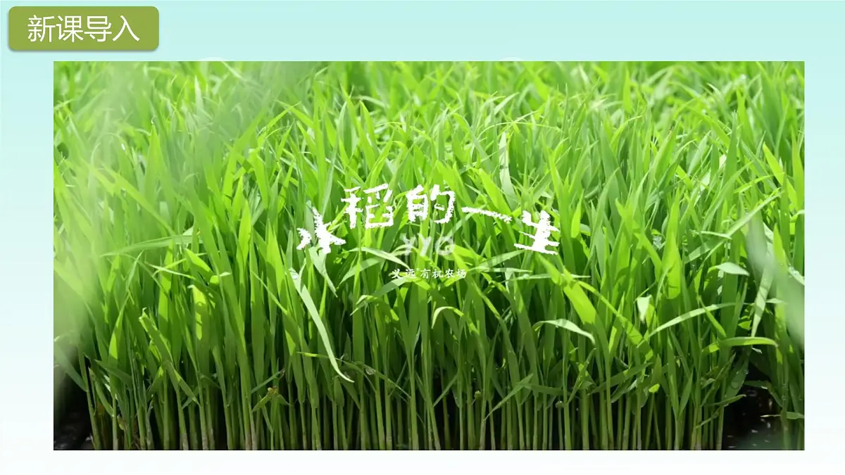 《我们的衣食之源》第2页