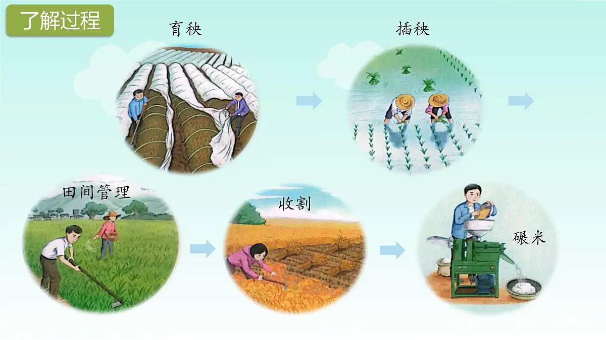 《我们的衣食之源》第3页