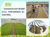 部編版小學道法四年級下冊7《我們的衣食之源》課件+素材