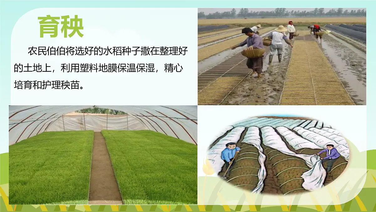 《我们的衣食之源》第4页