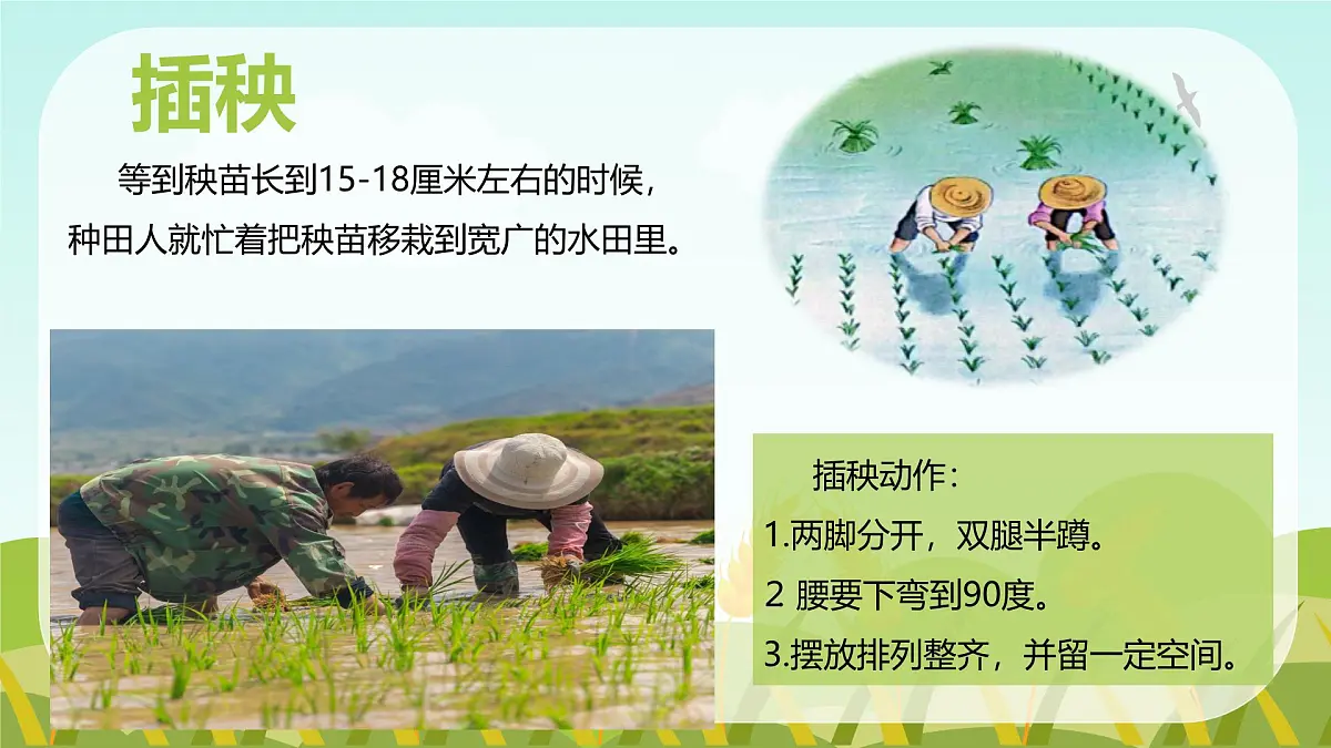 《我们的衣食之源》第6页