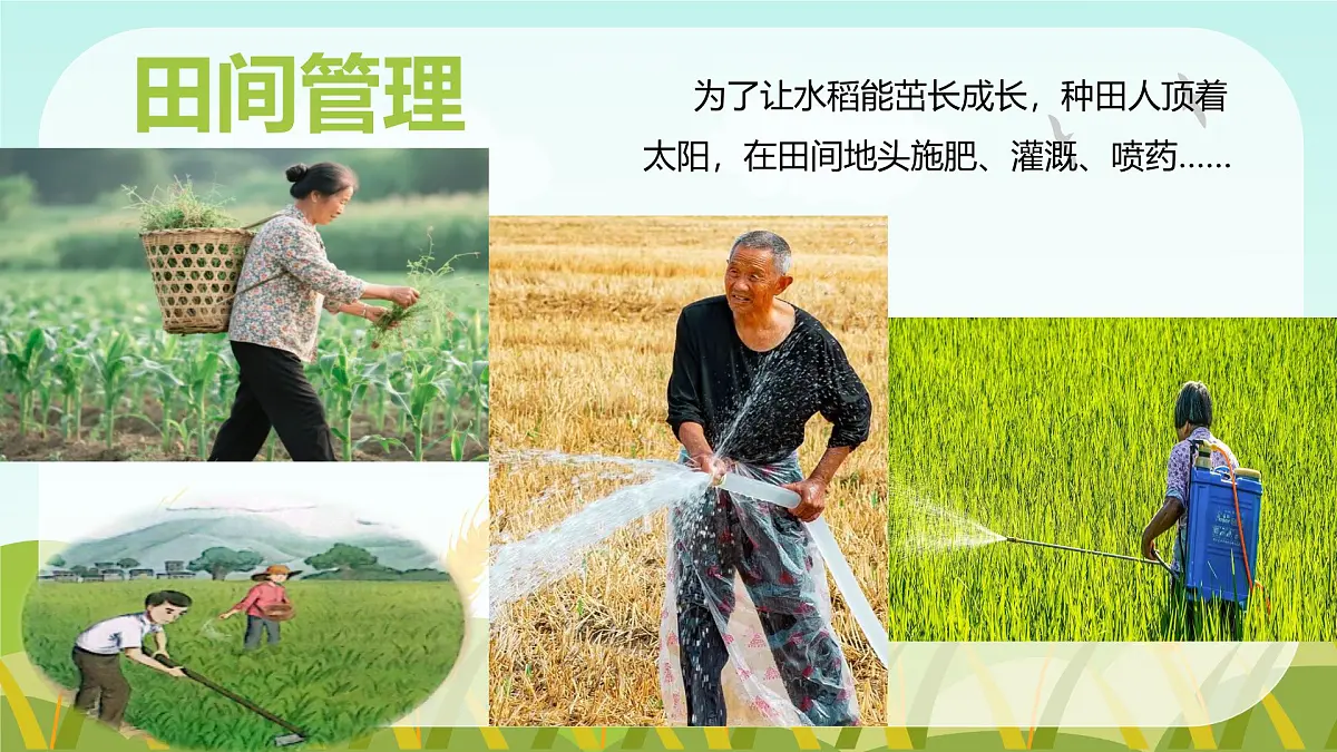 《我们的衣食之源》第7页