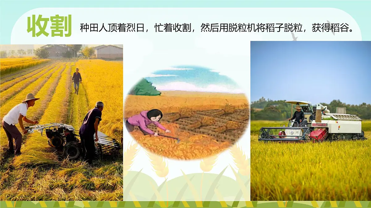 《我们的衣食之源》第8页