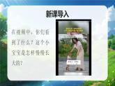 部編版三年級(jí)上冊(cè)道德與法治 第1課 學(xué)習(xí)伴我成長(zhǎng) 第1課時(shí) 課件+教案+音視頻素材