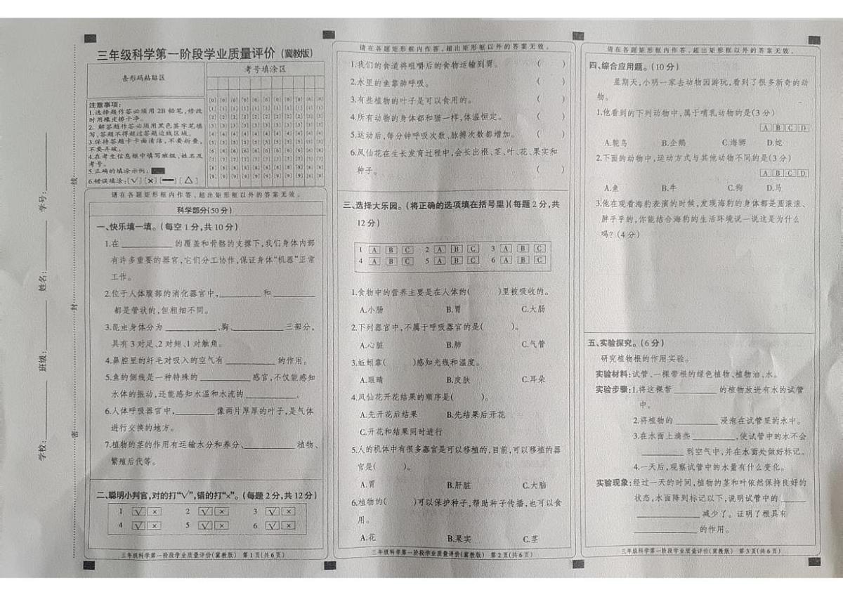 河北省邢台市威县章台学区中心校2025-2026学年三年级上学期10月月考道德与法治 科学试题第1页