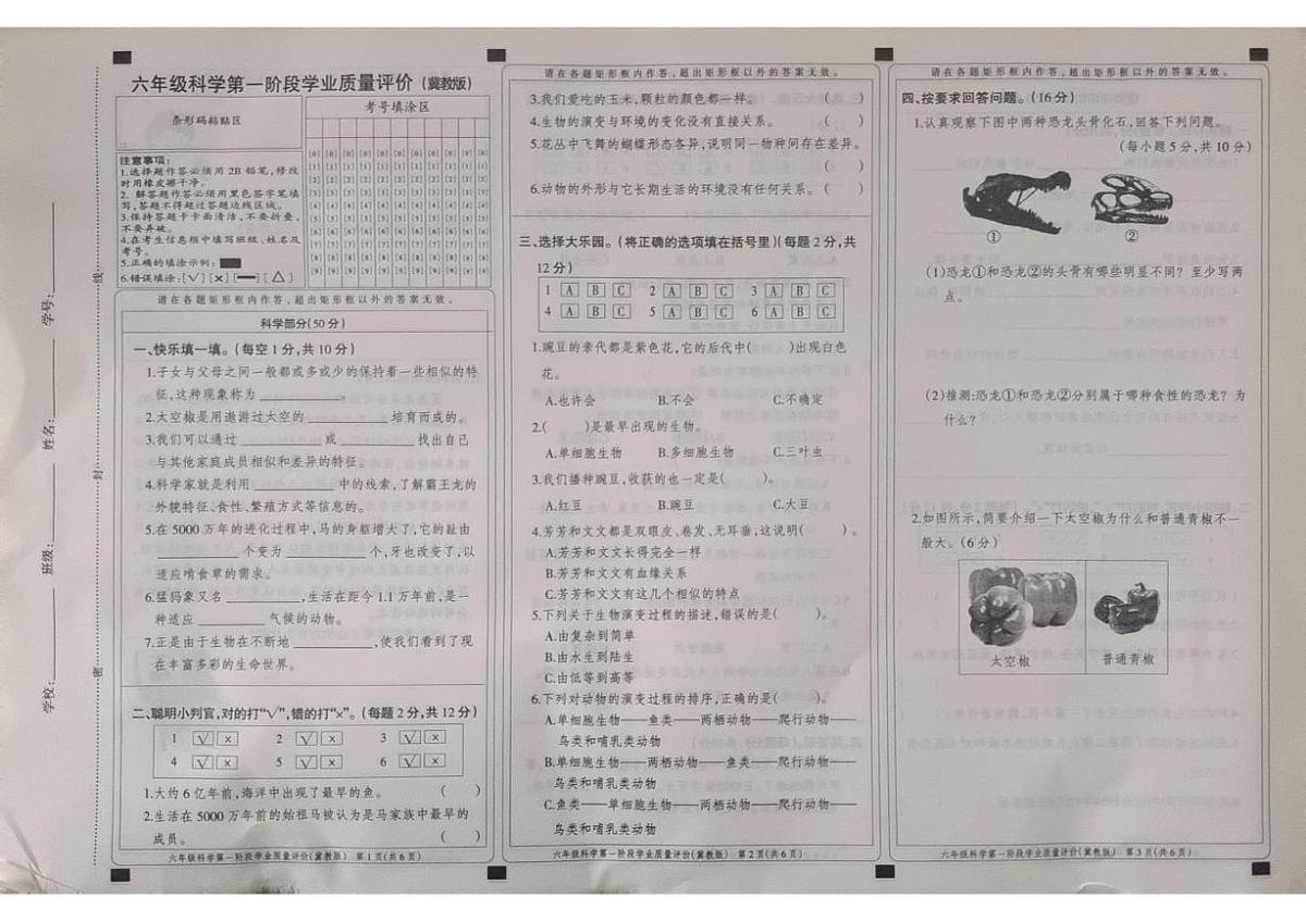 河北省邢台市威县章台学区中心校2025-2026学年六年级上学期10月阶段道德与法治 科学试题（月考）第1页