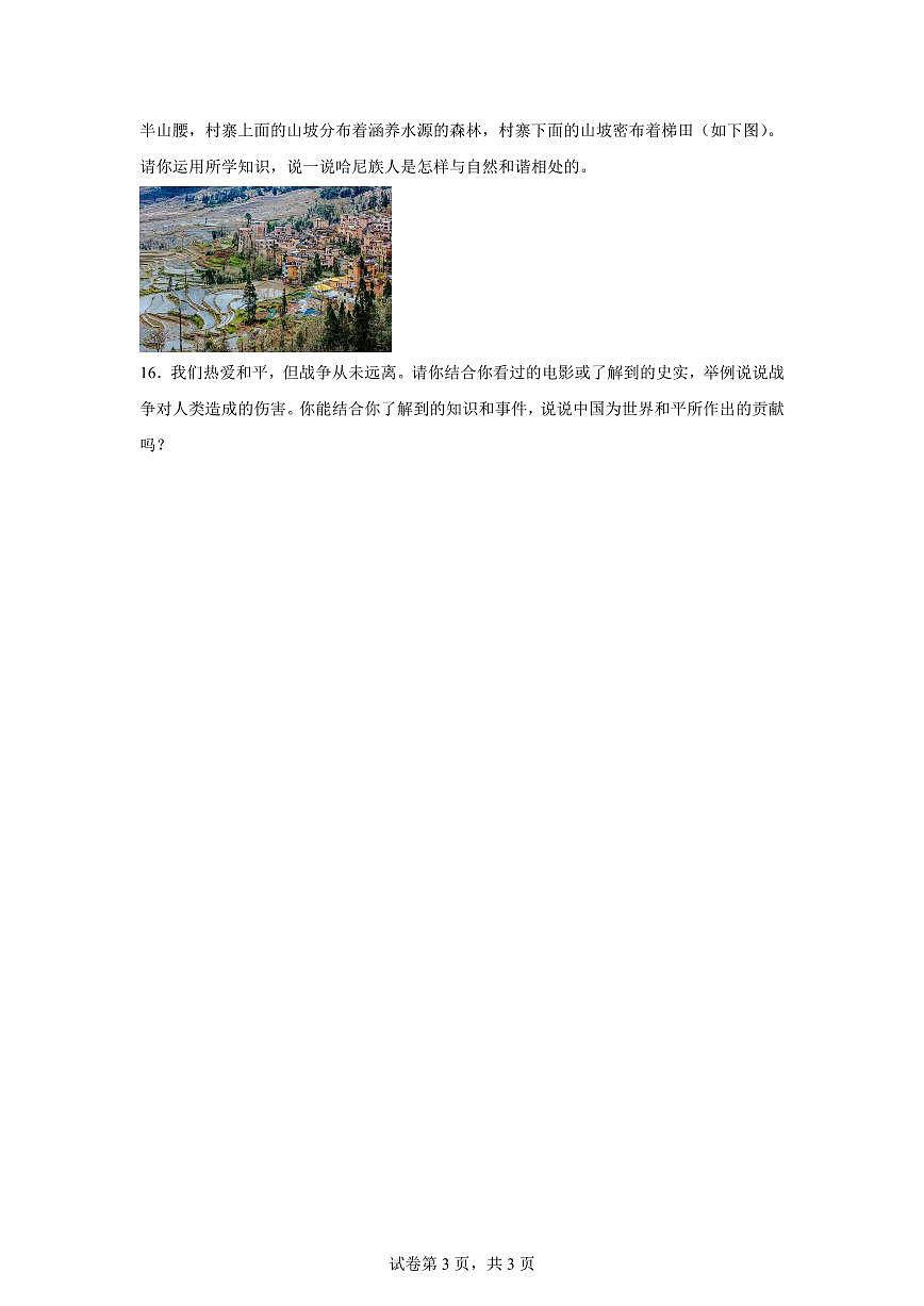 【统编版】2024~2025学年湖南省娄底市娄星区六年级下学期期末考试道德与法治试题【含答案】第3页