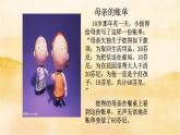 小学三年级上册道德与法治11《爸爸妈妈在我心中》课件
