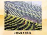 6.3《我们神圣的国土》（第三课时）PPT