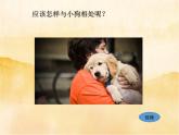11《别伤着自己》PPT