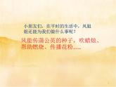 5《 风儿轻轻吹》PPT
