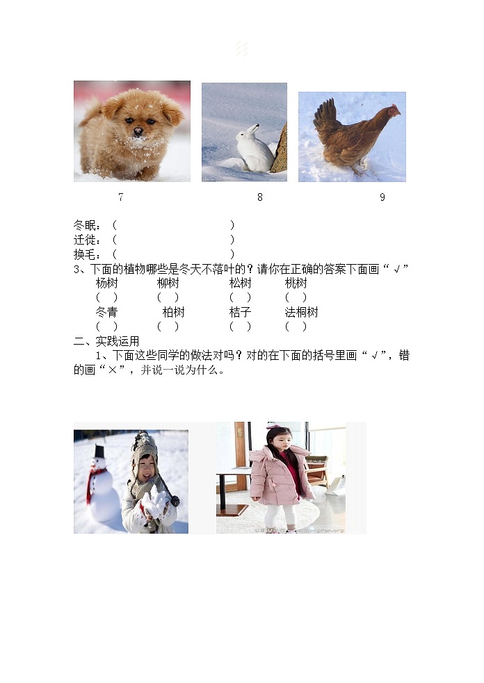 一年级上册道德与法治课堂达标题-13 美丽的冬天（含答案）02