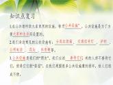 第三单元 《我们的公共生活》  复习课件 PPT