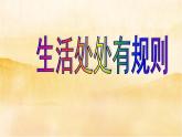 9《生活离不开规则 》  PPT