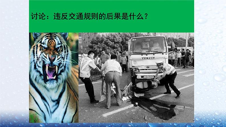 9《生活离不开规则  》PPT第4页