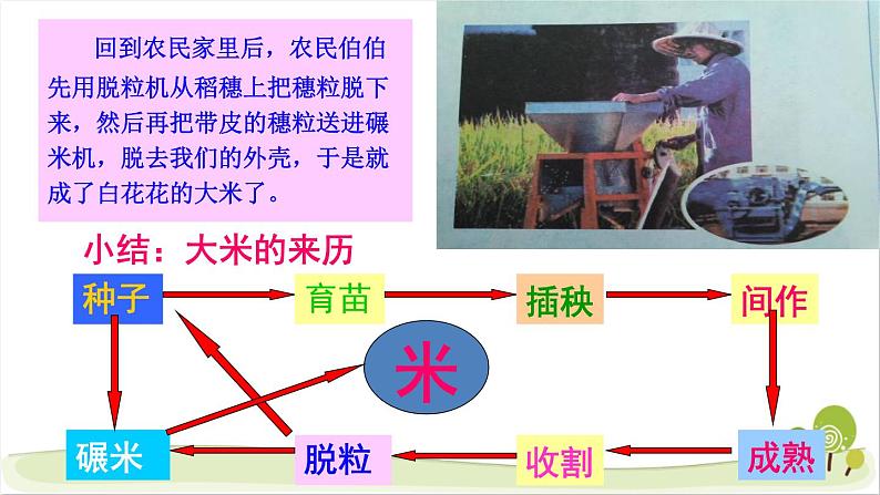 7《我们的衣食之源》精品课件07