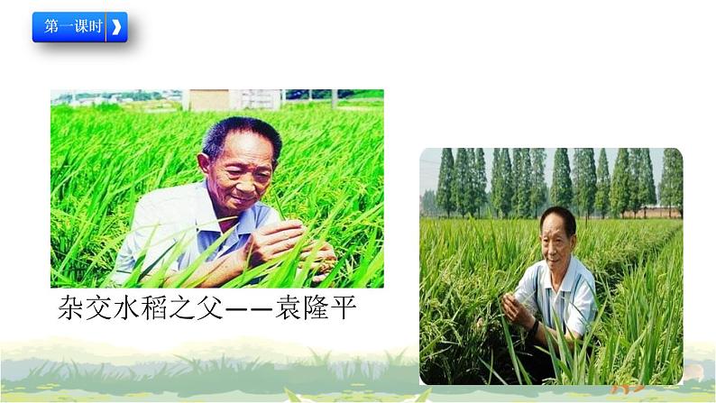 小学五年级下册道德与法治：12《富起来到强起来》精品课件02