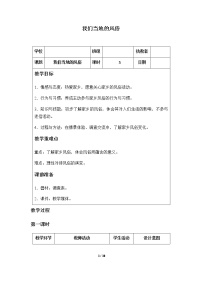 人教部编版四年级下册(道德与法治)10 我们当地的风俗 教案