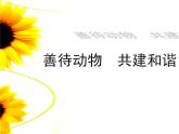 7、可愛(ài)的動(dòng)物2ppt課件 - 道法一年級(jí)下