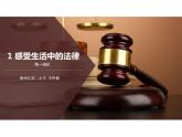 感受生活中的法律第一课时 课件