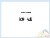 二年级下道德与法治课件2020新部编人教版道德与法治二年级下册 4 试种一粒籽 课件（共10张PPT）_人教版（2016部编版）