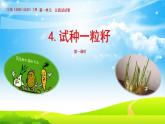 二年级下道德与法治课件二年级下册道德与法治课件-4 试种一粒籽-部编版(共16张PPT)_人教版（2016部编版）
