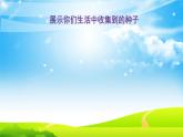 二年级下道德与法治课件二年级下册道德与法治课件-4 试种一粒籽-部编版(共16张PPT)_人教版（2016部编版）