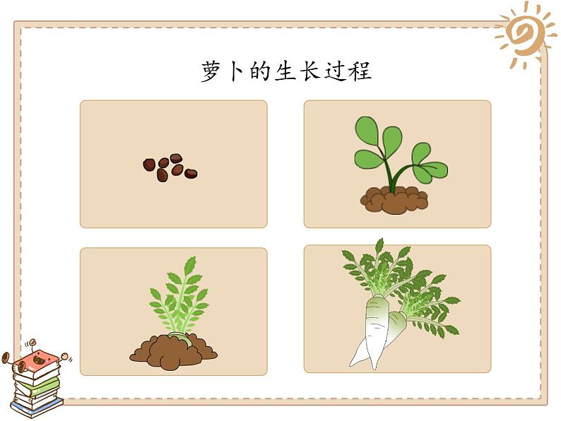 二年级下道德与法治课件二年级下册道德与法制课件-4 试种一粒籽  -部编版(共12张PPT)_人教版（2016部编版）第3页