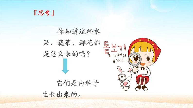 二年级下道德与法治课件：4 试种一粒籽  课件（共18张PPT）_人教版（2016部编版）第7页