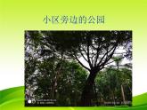 （部编版）二年级上册道德与法治课件-13.我爱家乡山和水
