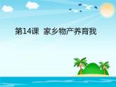 （部编版）二年级上册道德与法治课件-14.家乡物产养育我