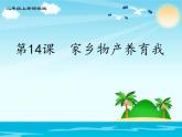 （部编版）二年级上册道德与法治课件-14.家乡物产养育我 (2)
