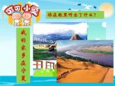 （部编版）二年级上册道德与法治课件-14.家乡物产养育我