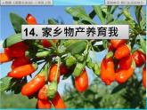 （部编版）二年级上册道德与法治课件-14.家乡物产养育我