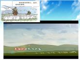 （部编版）二年级上册道德与法治课件-13.我爱家乡山和水 (6)