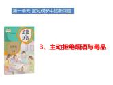 1.3《主动拒绝烟酒与毒品》PPT课件